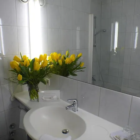 Alpinpark Hotel 4*